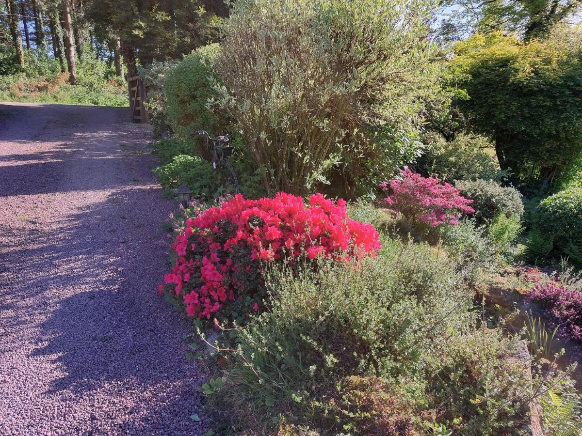 Le Petit Bois Normand - Chambre D'Hote Bed & Breakfast Champ-du-Boult ภายนอก รูปภาพ
