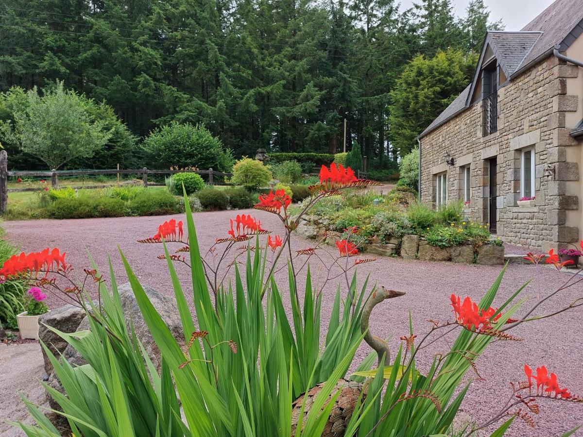 Le Petit Bois Normand - Chambre D'Hote Bed & Breakfast Champ-du-Boult ภายนอก รูปภาพ